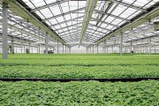 除濕器如何解決高濕度、多種危害的溫室除濕問題？