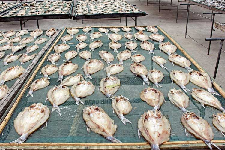 魚肉烘干.jpg