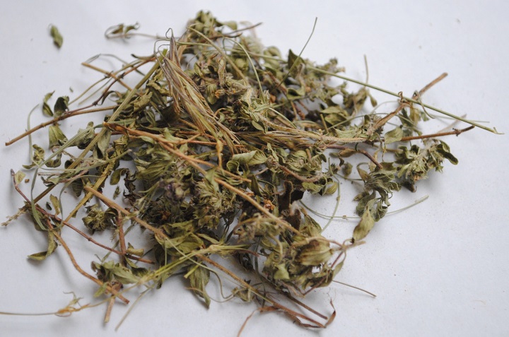 百奧烘干機(jī)